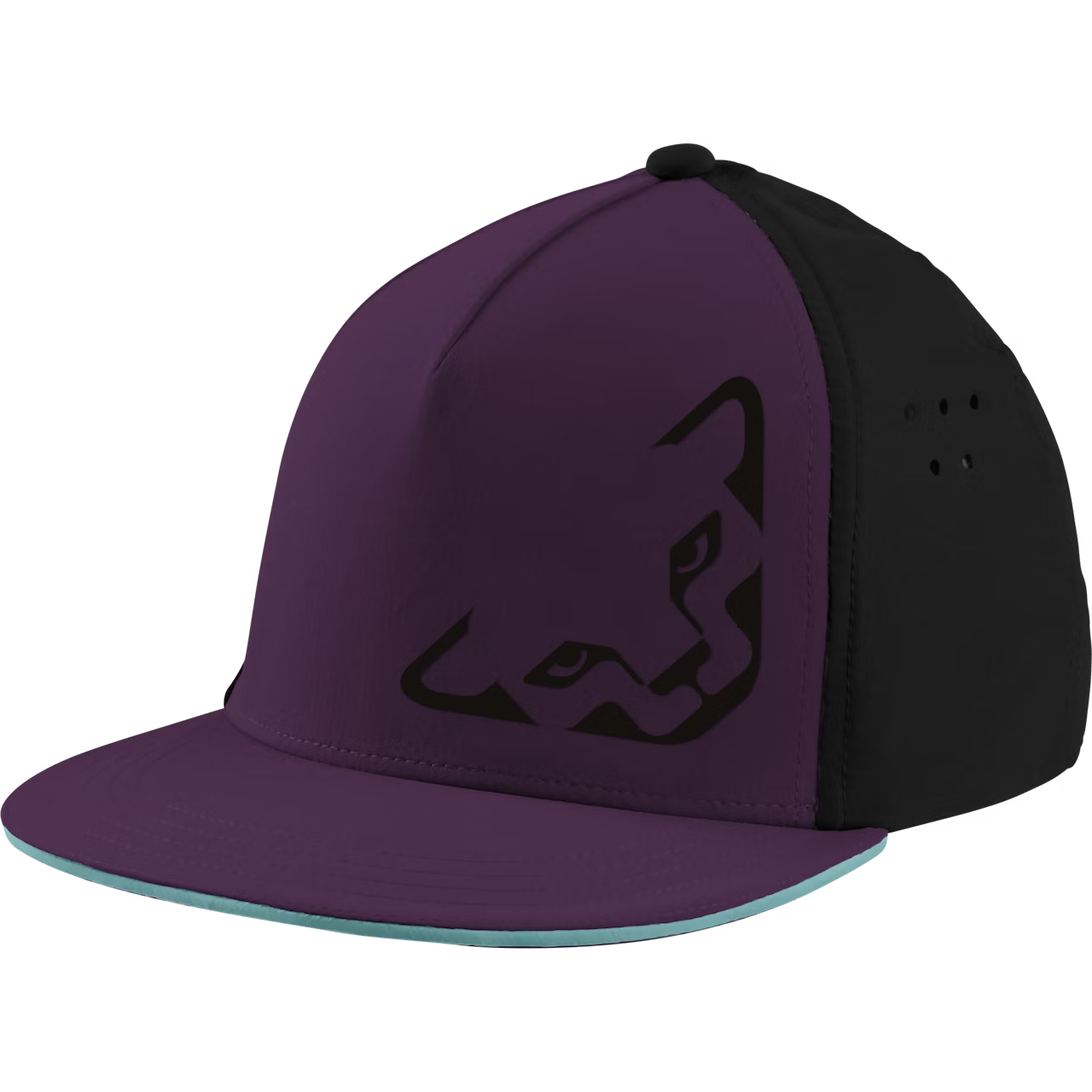 kšiltovka DYNAFIT Tech Trucker cap royal purple